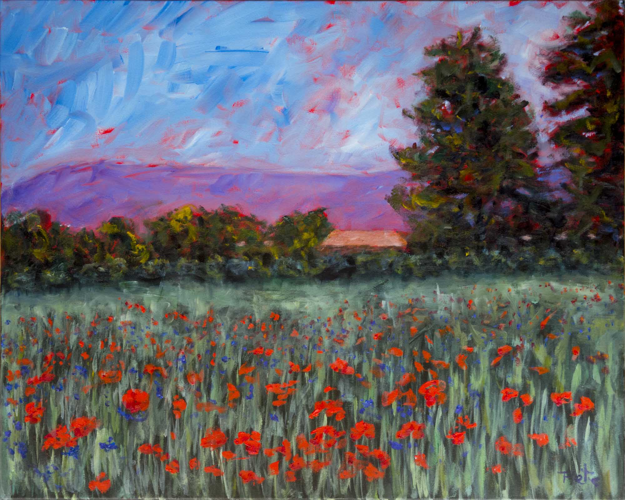 Poppy Field