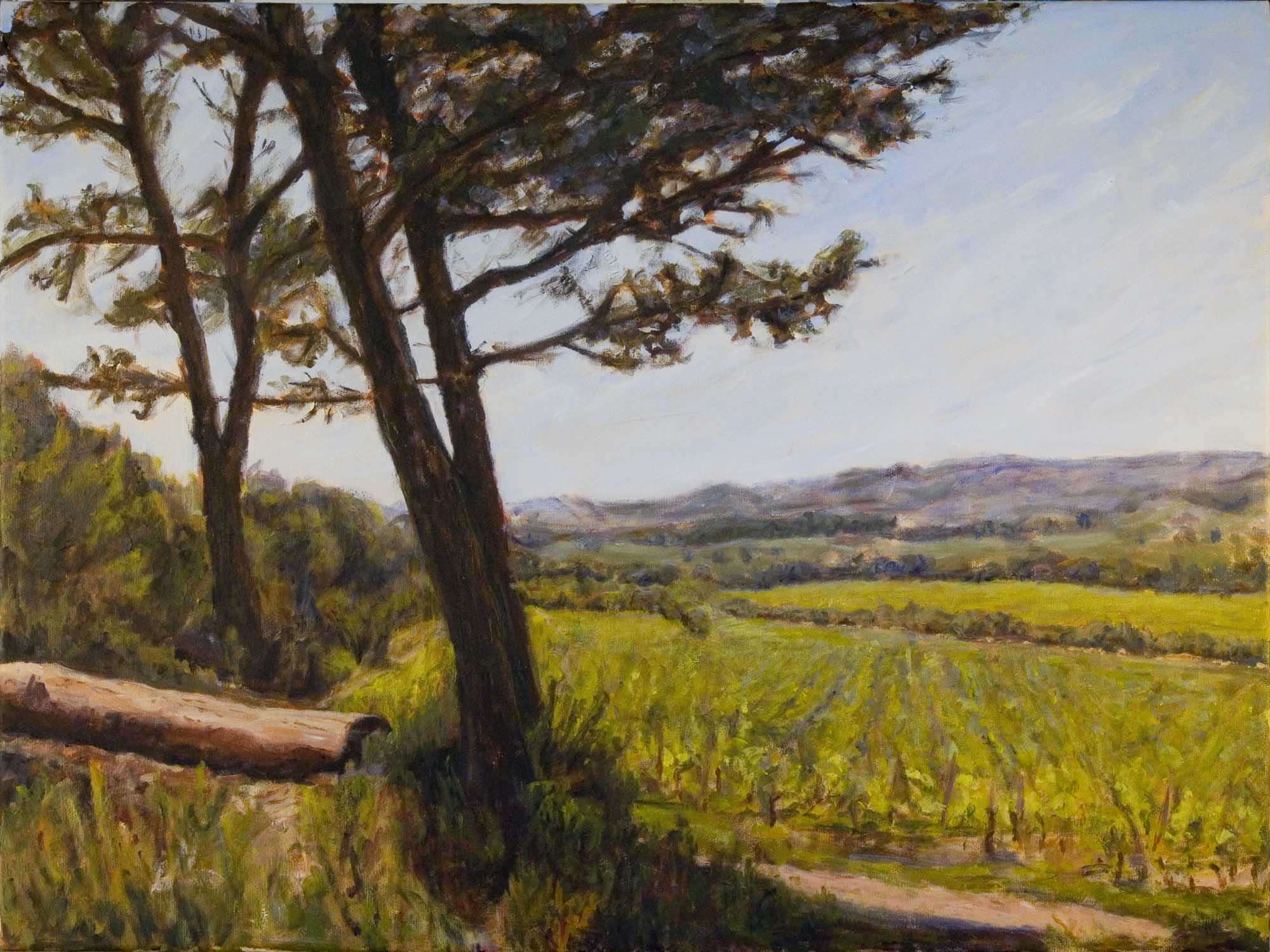 Vallée de Lauzières