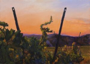 Vineyard in Provence Sunset Painting