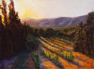 Vineyard at sunset in Provence painting