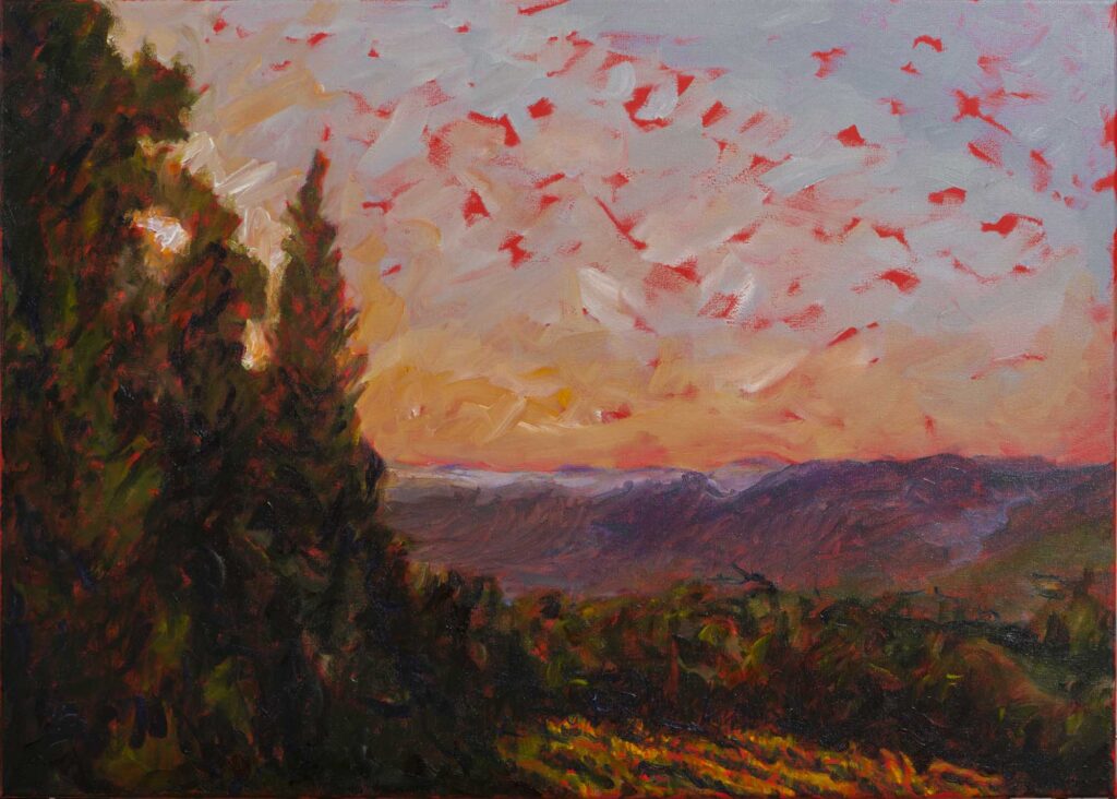 painting of southern french vineyard  at sunset